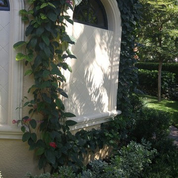 A garden should delight and surprise the senses, with many colors, textures
