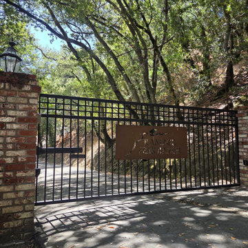 Single Swinging Gate with Liftmaster Gate Operator