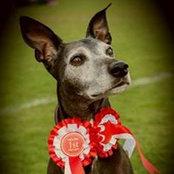 Lucy Bakers foto
