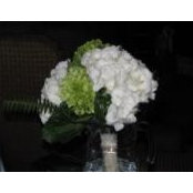 Cristina Simao's photo