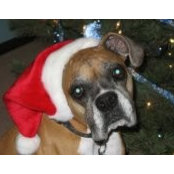Renee Hergenrader's photo