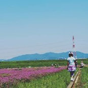 Hiroko Miwas foto