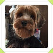 Cheri Mino's photo