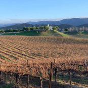 Lyndon Sidelinger's photo