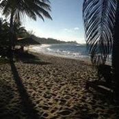 Carla DiMaria's photo