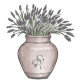 Second Nature Designs Second Nature Designs