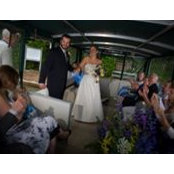 Laura Zitske's photo