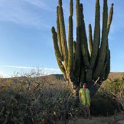 Kelly Derstenfeld's photo