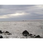 Donald Phillips's photo