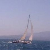 Foto von Scott Shapiro