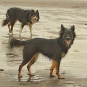 Foto von Fionna Duncan