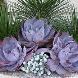 Container Arrangements - Products