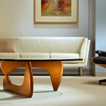 Living Room Ideas