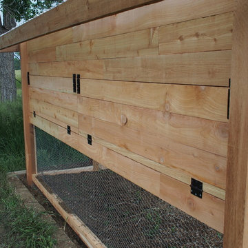 Chicken Coop