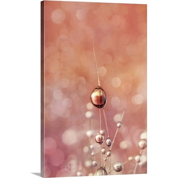 "Sunset and Snowflake Drops" Wrapped Canvas Art Print, 32"x48"x1.5"