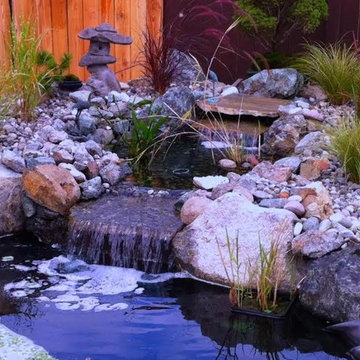 Salazars All Seasons Landscaping Projects