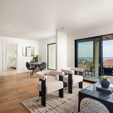 Pacific Beach New Build