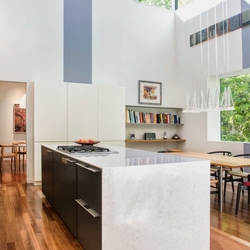 Modern Arlington Renovation