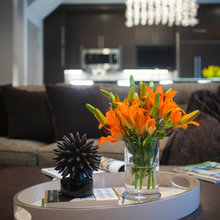 Living Room Ideas