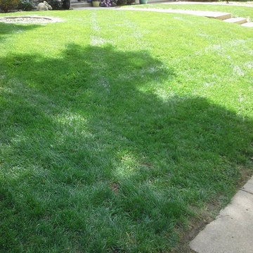 Lawn Care