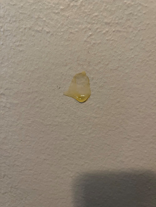 How to get gunk off painted walls.