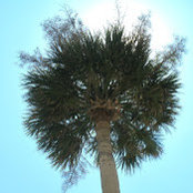 Brian Pannenbacker's photo