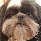 Debby Morey's photo