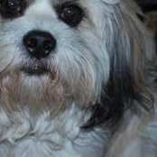 Brenda Galloway's photo
