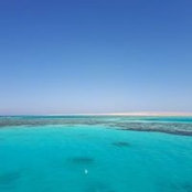 Maria Ferale's photo