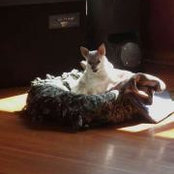 Lynne Knox's photo