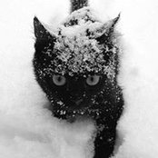 Kat Cole's photo