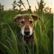 Michele Knapp's photo