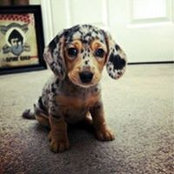 Blake Conner's photo
