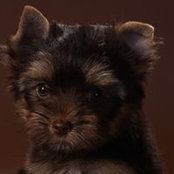 Elena Drozdova's photo