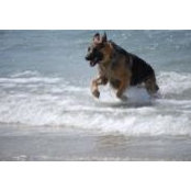 Rita Silver's photo