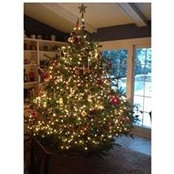 Susan Snider's photo