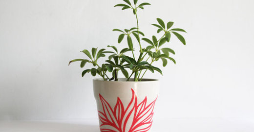Guest Picks: Playful Planters and Pots