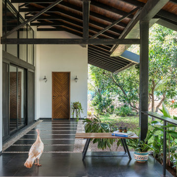 Under The Mango Tree