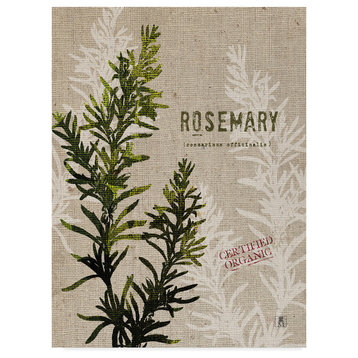 "Organic Rosemary No Butterfly" by Studio Mousseau, Canvas Art, 32"x24"