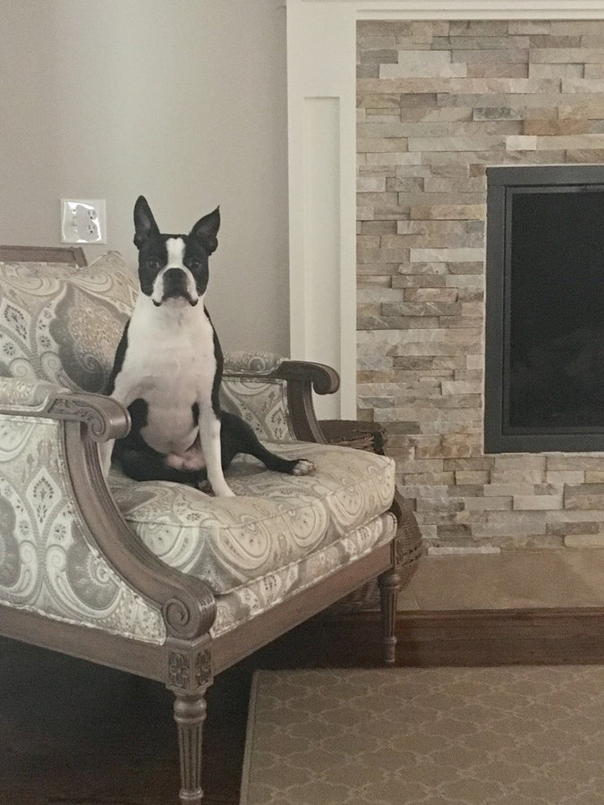 Shaddy Hollow Formal Living