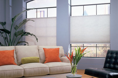 Steve's Exclusive Collection Cellular Shades