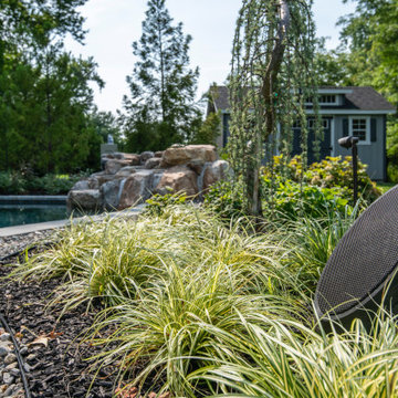 Outdoor Audio with New Pool Landscaping