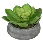 House of Silk Flowers, Inc. - Artificial Green Echeveria in Grey-Washed Bowl Ceramic - You will never have to worry about caring for your succulents again with this artificial echeveria handcrafted by House of Silk Flowers. This arrangement features an artificial echeveria "potted" in a washed ceramic vase measuring 6" diameter x 2.25" tall. The echeveria has been arranged for 360*-viewing. The overall dimensions are measured leaf tip to leaf tip, from the bottom of the planter to the tallest leaf tip: 7" diameter X 4.5" tall. Measurements are approximate, and will be determined by your final shaping of the plant upon unpacking it. No arranging is necessary, only minor shaping, with the way in which we package and ship our products. This product is only recommended for indoor use.