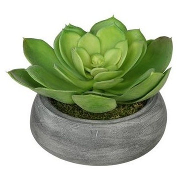 Artificial Green Echeveria in Grey-Washed Bowl Ceramic