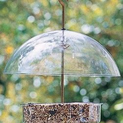 Seed Saver Bird Feeder - Birdhouses