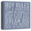 Boy Rules 12x12 Canvas Wall Art