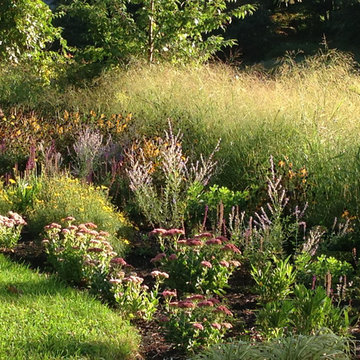 Delaunay Garden
