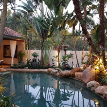 Landscape Ideas