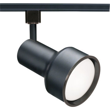 Nuvo Lighting 1-Light R30 Track Head Step Cylinder, Black, TH207