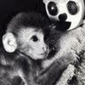 Sara Snyder's photo